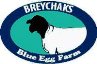 Breychak's Blue Egg Farm