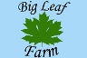 Big Leaf Farm