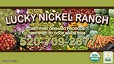 Lucky Nickel Ranch Inc.