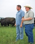 The Grass Fed Cattle Co.