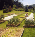 Weed Farm