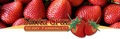Santa Cruz Berry Farming Co. LLC