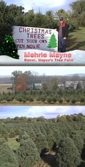 Mayne's Tree Farm
