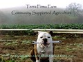 Terra Firma Farm