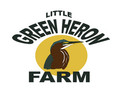 Little Green Heron CSA