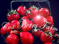Cox Berry Farm