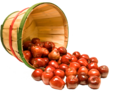 Oakwood Fruit Farms Apples