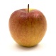 Braeburn Apple Farm
