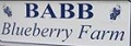 Babb Blueberry Farm