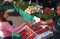 Laytonville CFM
