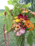 Northern Harvest Farm