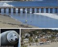 Avila Beach CFM