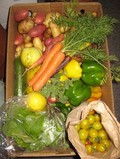 Big Star Farm