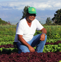 Triple N Farms