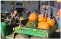 Bergefurd Family Farm
