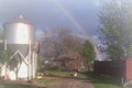 Amy's Farm