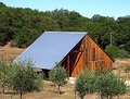 Amador Olive Oil