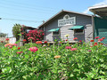 Ardenwood Historic Farm