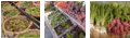 Little Folks Produce and Meats