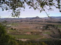 Clark Valley Organic Farm