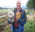 Potato Garden