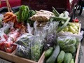 Perpetual Harvest Farms