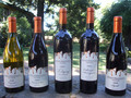 Arger-Martucci Vineyards