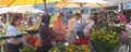 King’s Beach Farmers Market