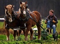 Klesick Family Farm