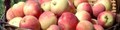 St. Joseph Farmers Market