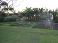 North Country Farms