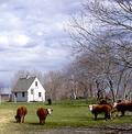 Farm Fresh Rhode Island