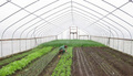 Big Leaf Farm