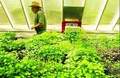 Grizzly Hill Organic Farm