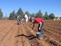 RichCrest Farms