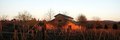 Avio Vineyards