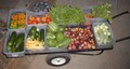 Zoey Farms