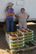 Carmel Valley Cooperative