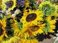 Aldrich Arena Farmers Market