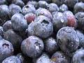 Ocean View Blueberry Farm