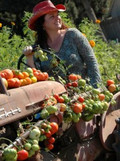 Serendipity Farms