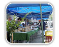 La Jolla UCSD Farmers Market