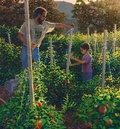 Arcata Plaza CFM