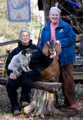 Split Creek Farms