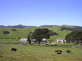Chileno Valley Ranch