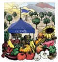 Walnut Creek Farmers Market