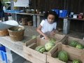 Edible Chesapeake