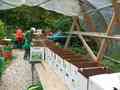 Gazy Brothers Farm