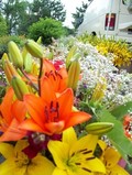 Stillwater Farmers Market
