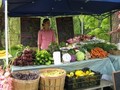 Reroot Organic Farm